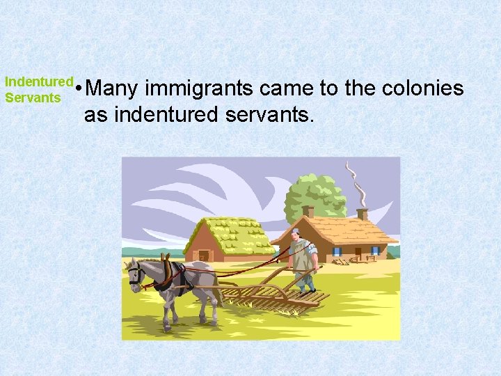 Indentured Servants • Many immigrants came to the colonies as indentured servants. 