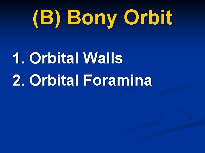 (B) Bony Orbit 1. Orbital Walls 2. Orbital Foramina 