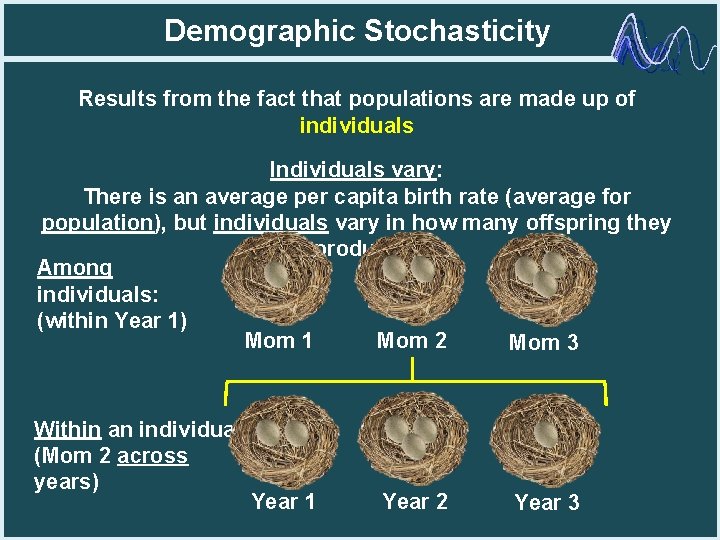 Demographic Stochasticity Results from the fact that populations are made up of individuals Individuals