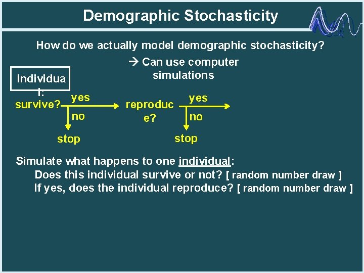 Demographic Stochasticity How do we actually model demographic stochasticity? Can use computer simulations Individua