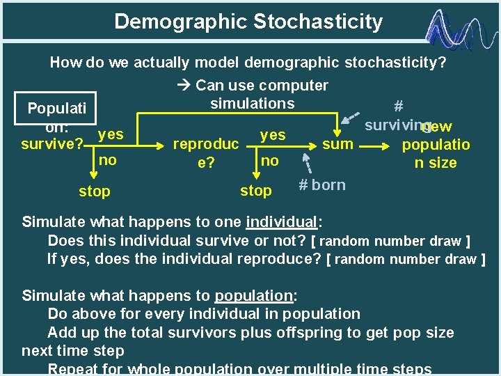 Demographic Stochasticity How do we actually model demographic stochasticity? Can use computer simulations #