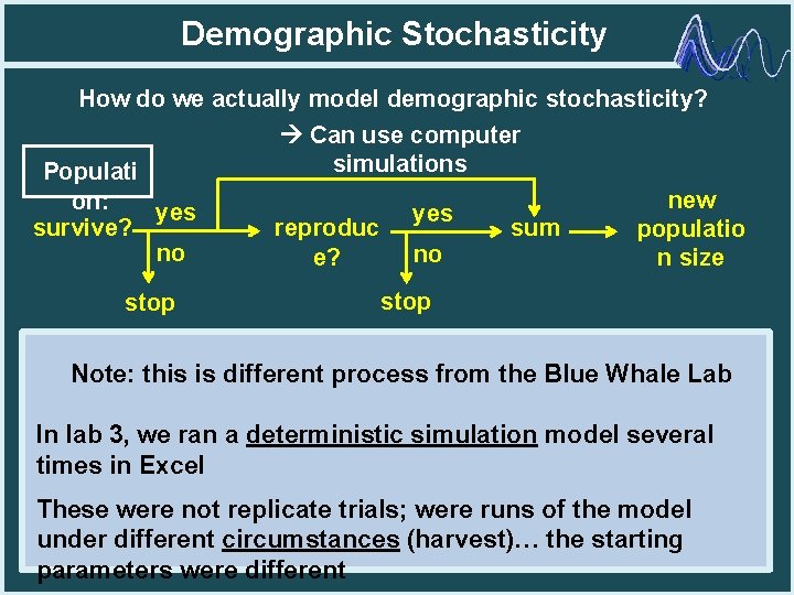 Demographic Stochasticity How do we actually model demographic stochasticity? Can use computer simulations Populati