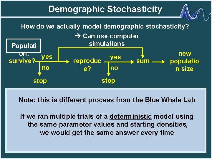 Demographic Stochasticity How do we actually model demographic stochasticity? Can use computer simulations Populati