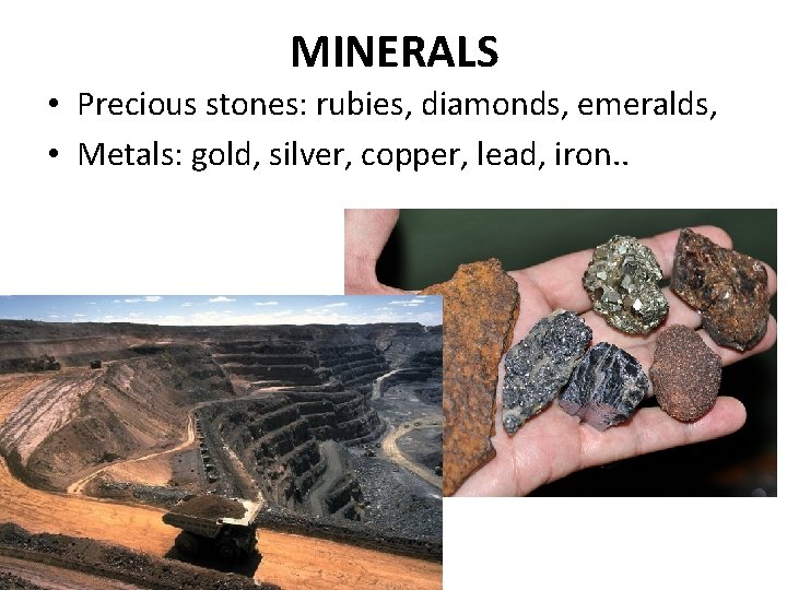 MINERALS • Precious stones: rubies, diamonds, emeralds, • Metals: gold, silver, copper, lead, iron.