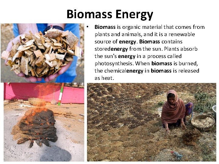 Biomass Energy • Biomass is organic material that comes from plants and animals, and