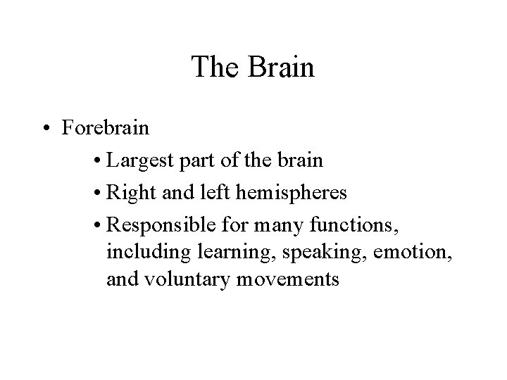 The Brain • Forebrain • Largest part of the brain • Right and left