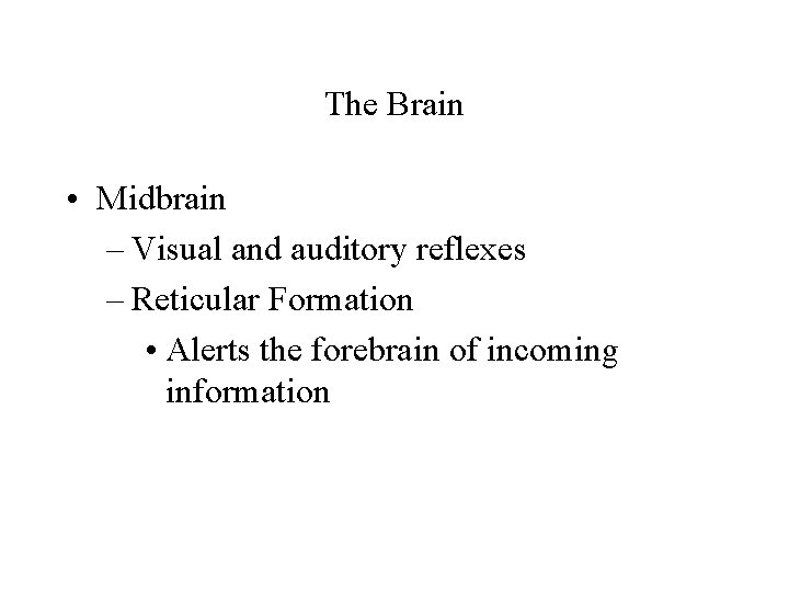 The Brain • Midbrain – Visual and auditory reflexes – Reticular Formation • Alerts