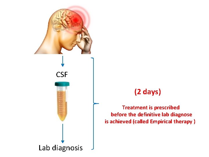 CSF (2 days) Treatment is prescribed before the definitive lab diagnose is achieved (called