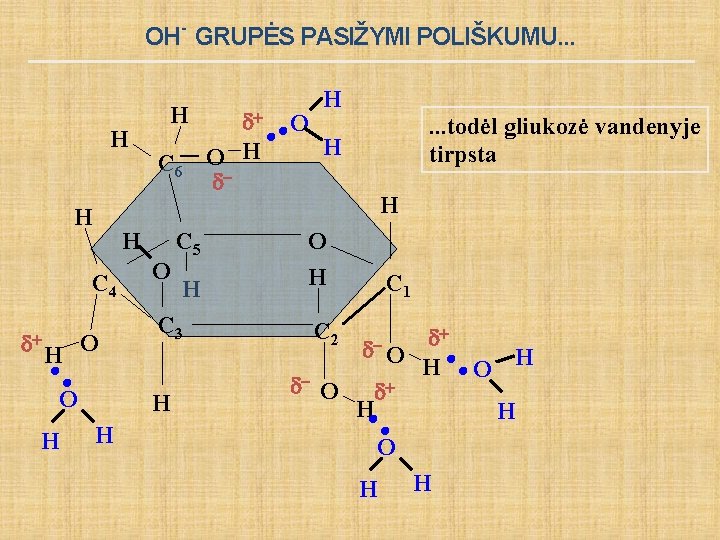 OH- GRUPĖS PASIŽYMI POLIŠKUMU. . . H H H O O H C 6