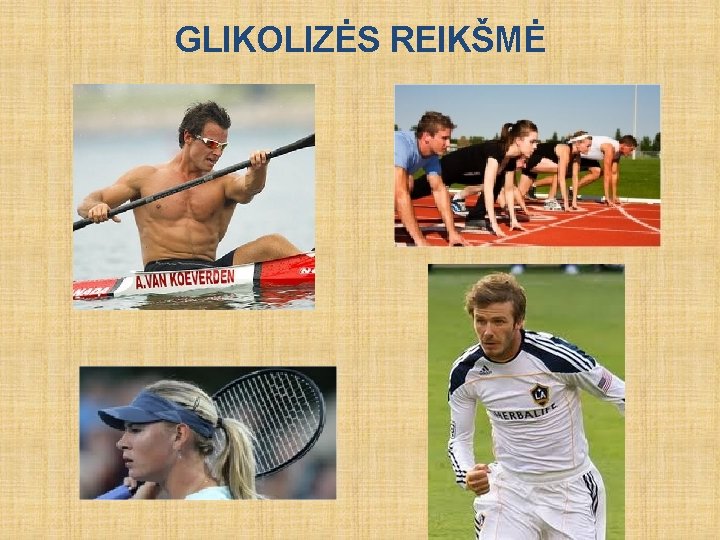 GLIKOLIZĖS REIKŠMĖ 