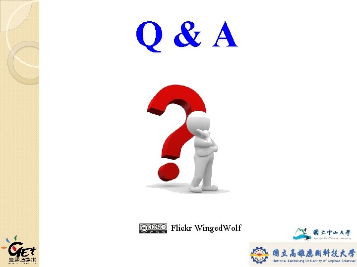 Q&A Flickr Winged. Wolf 