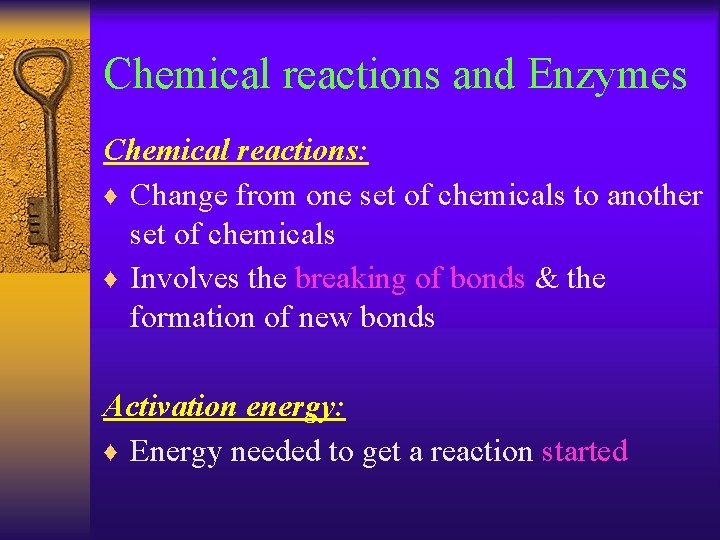 Chemical reactions and Enzymes Chemical reactions: ♦ Change from one set of chemicals to