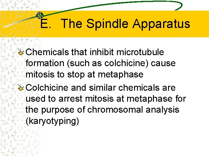 E. The Spindle Apparatus Chemicals that inhibit microtubule formation (such as colchicine) cause mitosis