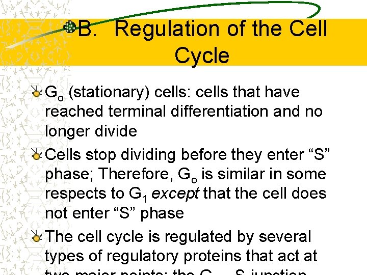 B. Regulation of the Cell Cycle Go (stationary) cells: cells that have reached terminal