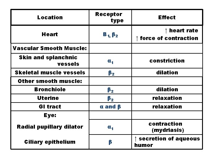 Location Receptor type Effect Heart Β 1, β 2 ↑ heart rate ↑ force