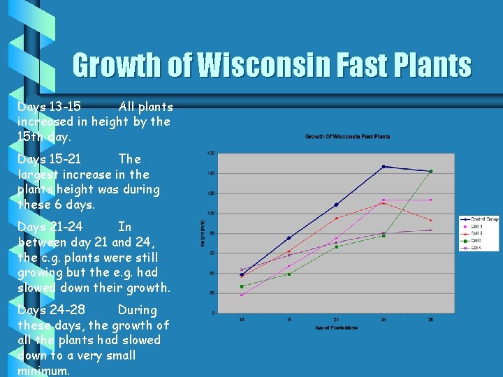 Growth of Wisconsin Fast Plants Days 13 -15 All plants increased in height by