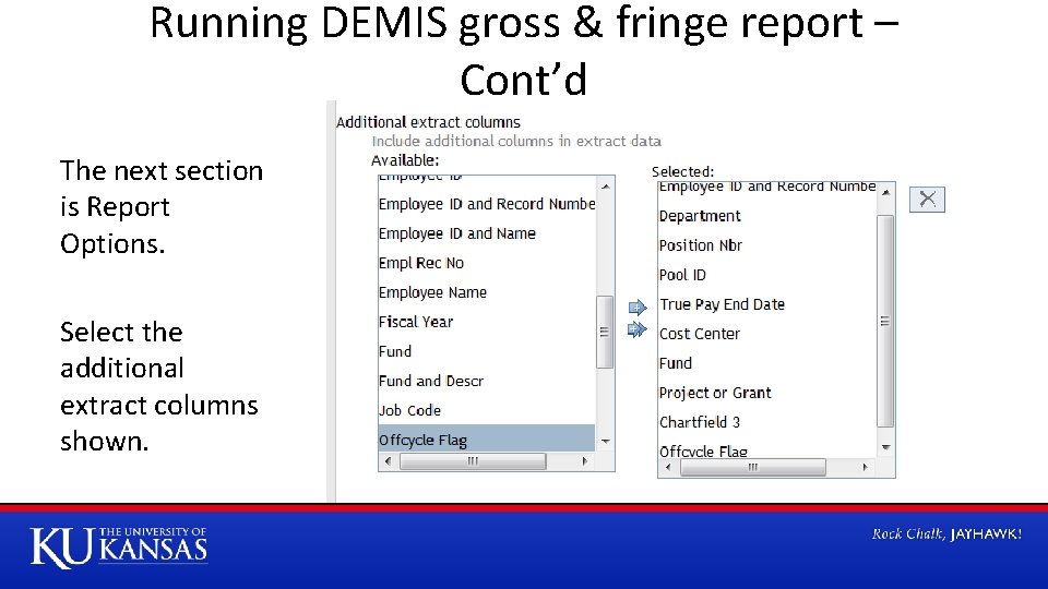 Running DEMIS gross & fringe report – Cont’d The next section is Report Options.