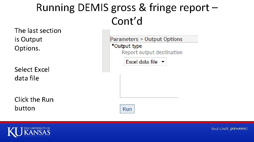 Running DEMIS gross & fringe report – Cont’d The last section is Output Options.