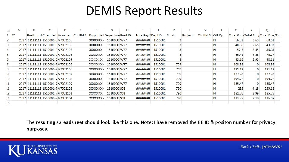 DEMIS Report Results The resulting spreadsheet should look like this one. Note: I have