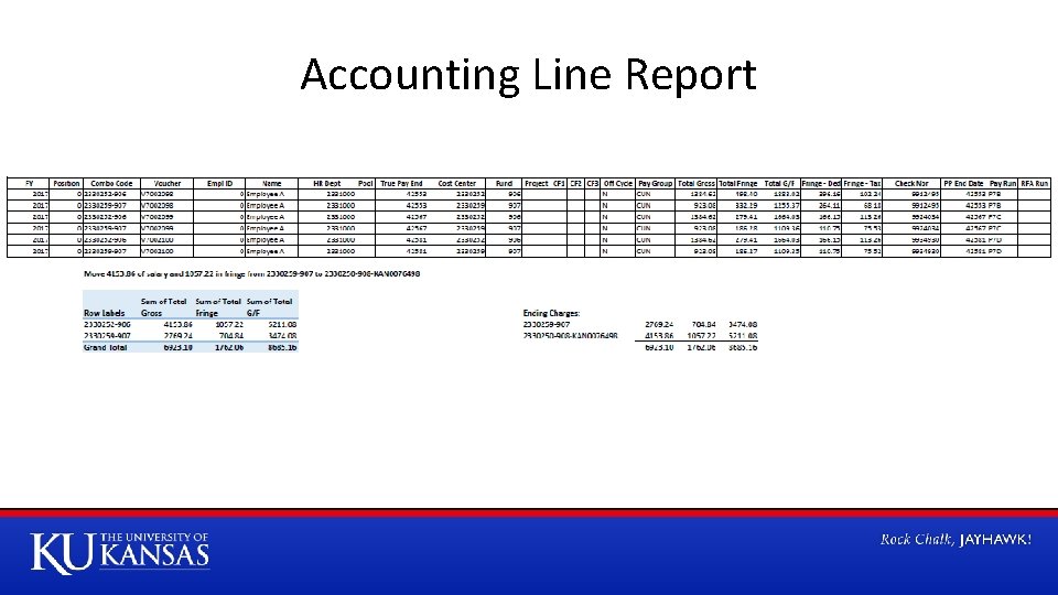 Accounting Line Report 