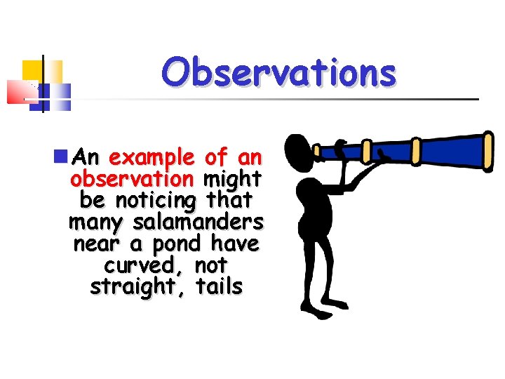 Observations An example of an observation might be noticing that many salamanders near a