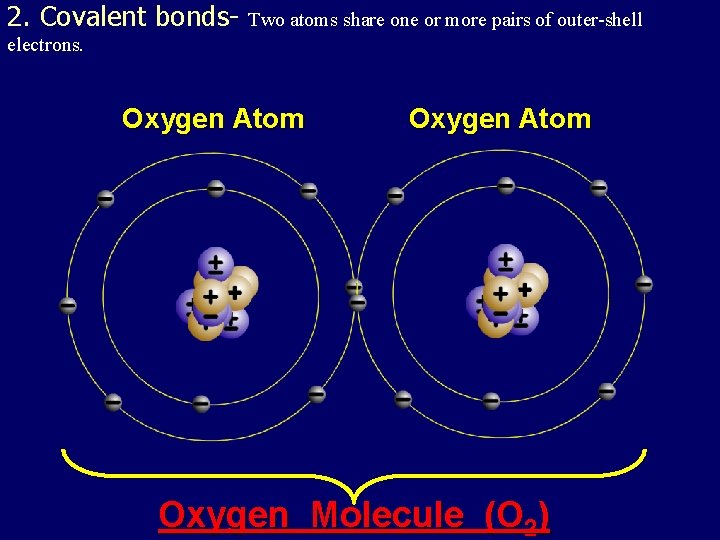 2. Covalent bonds- Two atoms share one or more pairs of outer-shell electrons. Oxygen