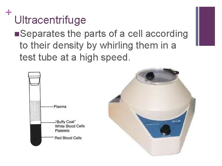 + Ultracentrifuge n. Separates the parts of a cell according to their density by