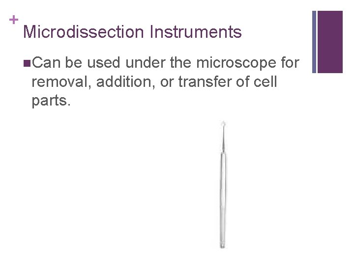 + Microdissection Instruments n. Can be used under the microscope for removal, addition, or
