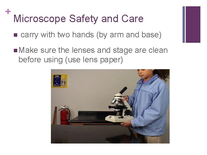 + Microscope Safety and Care n carry with two hands (by arm and base)