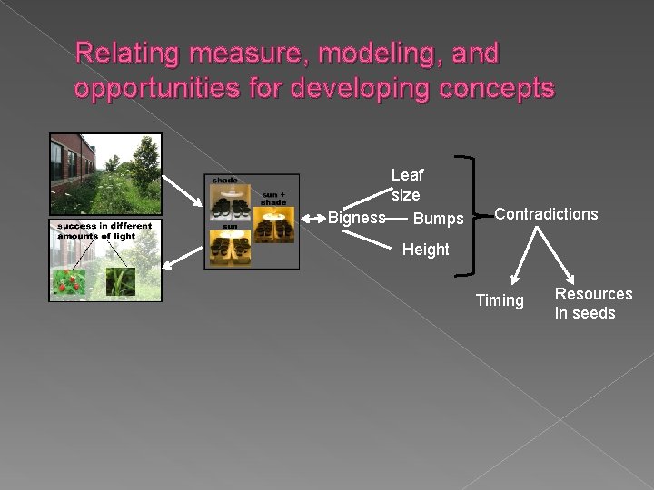 Relating measure, modeling, and opportunities for developing concepts Leaf size Bigness Bumps Contradictions Height