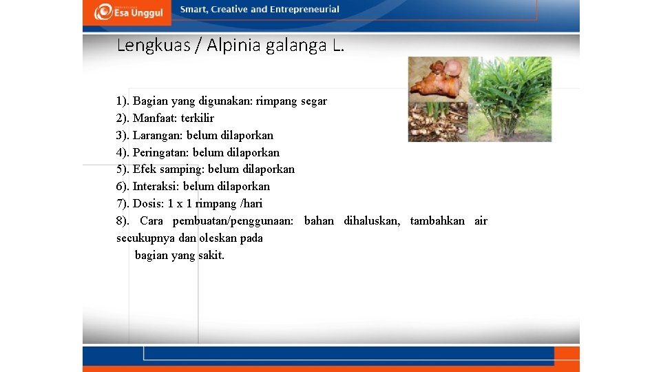 Lengkuas / Alpinia galanga L. 1). Bagian yang digunakan: rimpang segar 2). Manfaat: terkilir