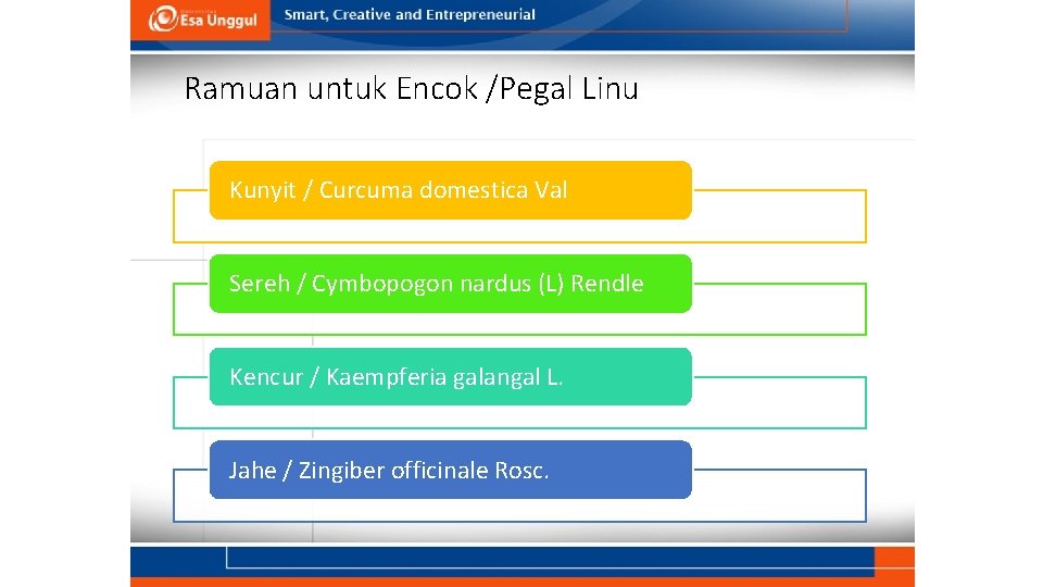 Ramuan untuk Encok /Pegal Linu Kunyit / Curcuma domestica Val Sereh / Cymbopogon nardus