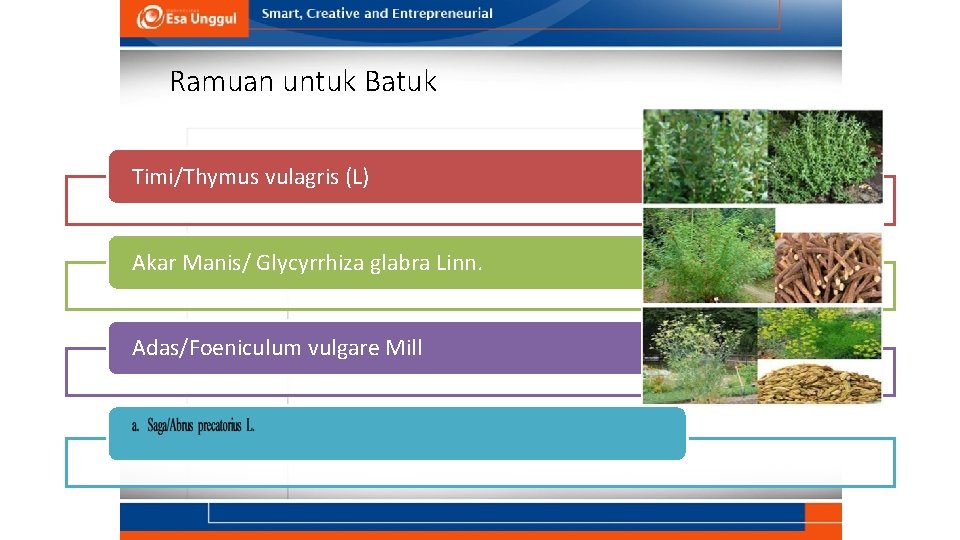 Ramuan untuk Batuk Timi/Thymus vulagris (L) Akar Manis/ Glycyrrhiza glabra Linn. Adas/Foeniculum vulgare Mill