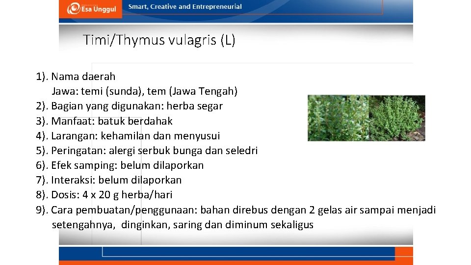 Timi/Thymus vulagris (L) 1). Nama daerah Jawa: temi (sunda), tem (Jawa Tengah) 2). Bagian