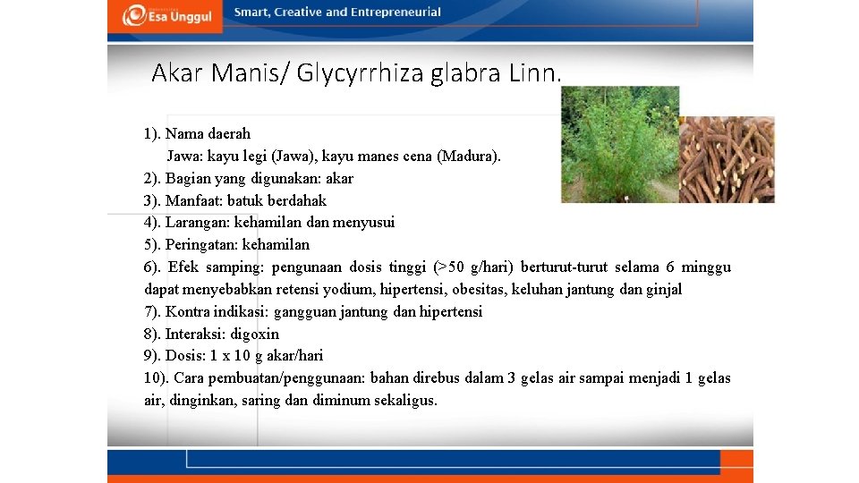 Akar Manis/ Glycyrrhiza glabra Linn. 1). Nama daerah Jawa: kayu legi (Jawa), kayu manes