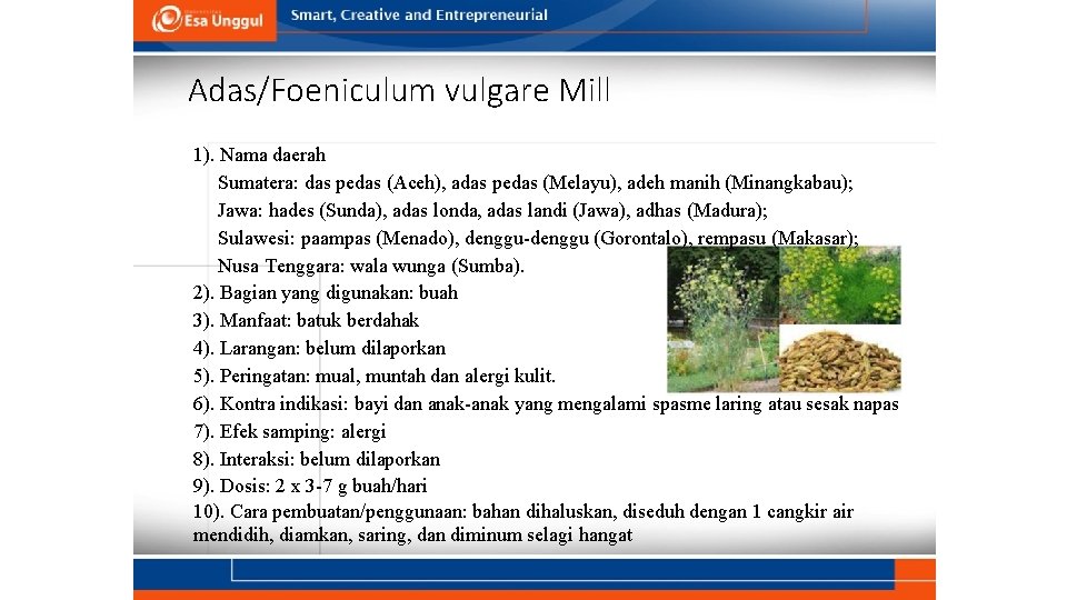 Adas/Foeniculum vulgare Mill 1). Nama daerah Sumatera: das pedas (Aceh), adas pedas (Melayu), adeh