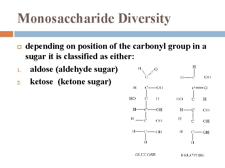 Monosaccharide Diversity 1. 2. depending on position of the carbonyl group in a sugar