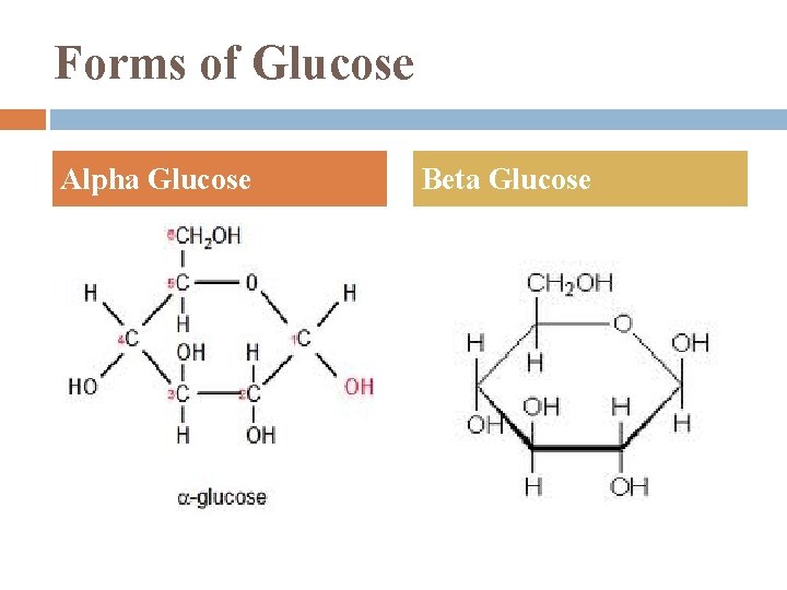 Forms of Glucose Alpha Glucose Beta Glucose 