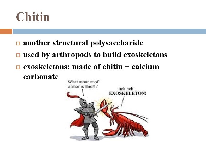 Chitin another structural polysaccharide used by arthropods to build exoskeletons: made of chitin +