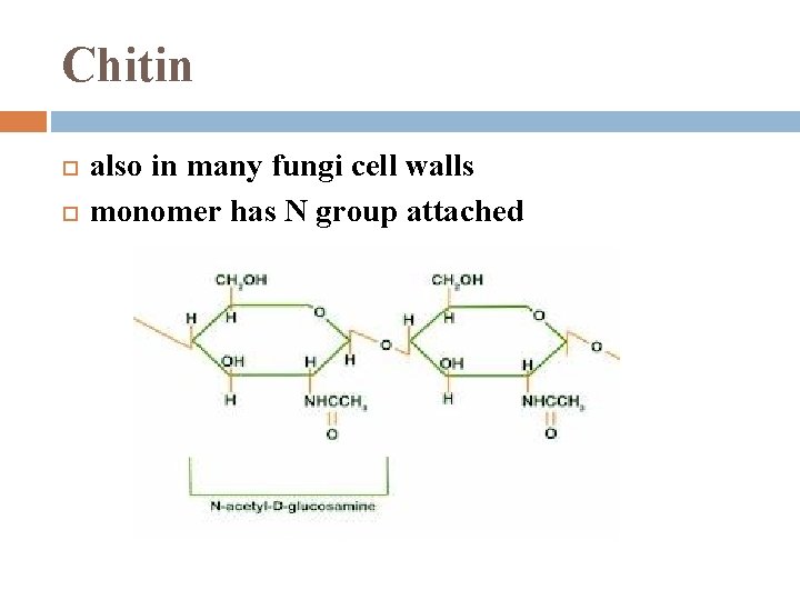 Chitin also in many fungi cell walls monomer has N group attached 