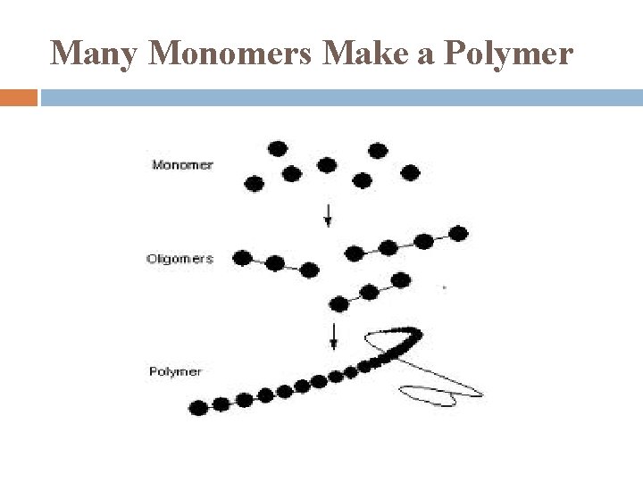 Many Monomers Make a Polymer 
