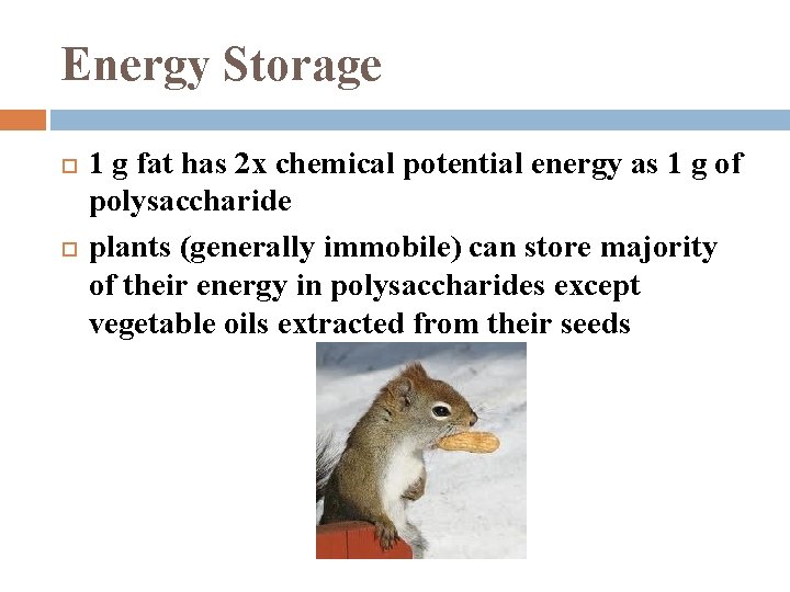 Energy Storage 1 g fat has 2 x chemical potential energy as 1 g