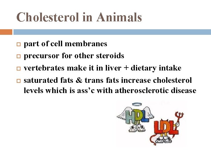 Cholesterol in Animals part of cell membranes precursor for other steroids vertebrates make it