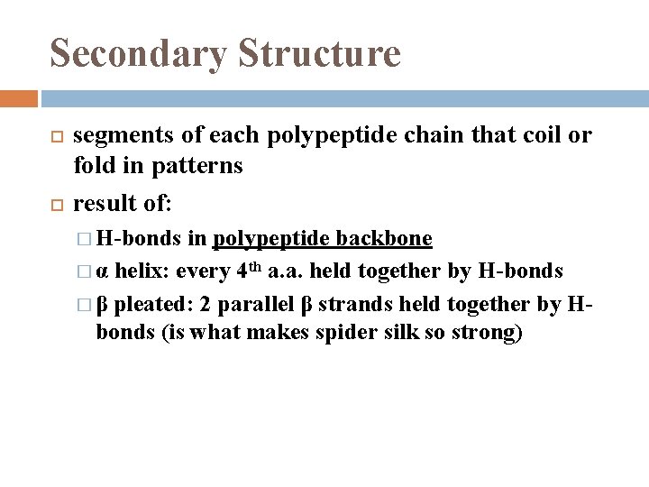 Secondary Structure segments of each polypeptide chain that coil or fold in patterns result