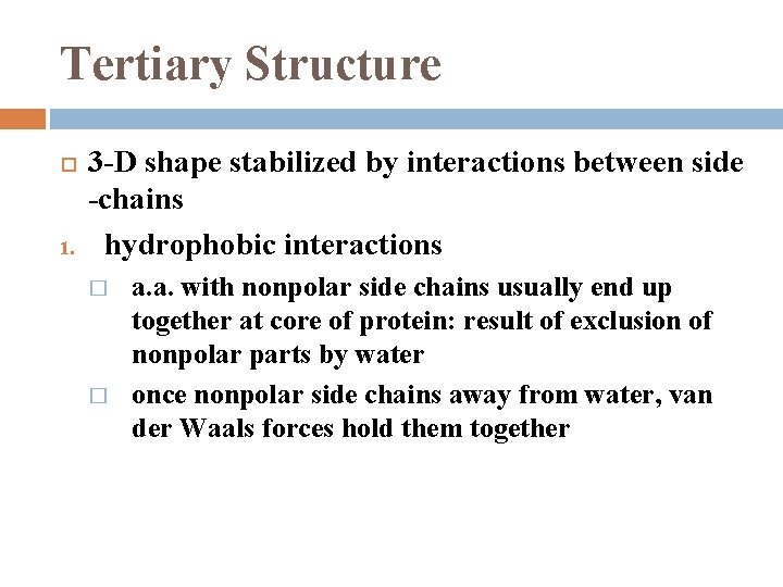 Tertiary Structure 1. 3 -D shape stabilized by interactions between side -chains hydrophobic interactions