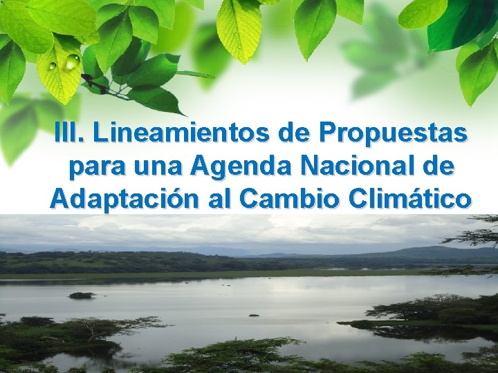 III. Lineamientos de Propuestas para una Agenda Nacional de Adaptación al Cambio Climático 