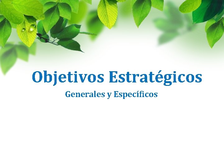 Objetivos Estratégicos Generales y Específicos 