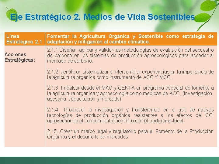 Eje Estratégico 2. Medios de Vida Sostenibles Línea Fomentar la Agricultura Orgánica y Sostenible
