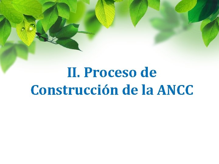 II. Proceso de Construcción de la ANCC 
