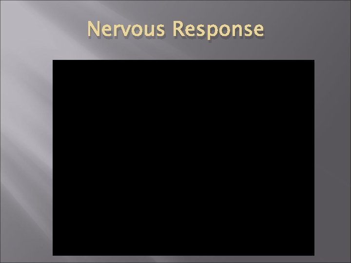 Nervous Response Nervous Response